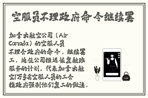 粉色视频免费观看视频在线观看